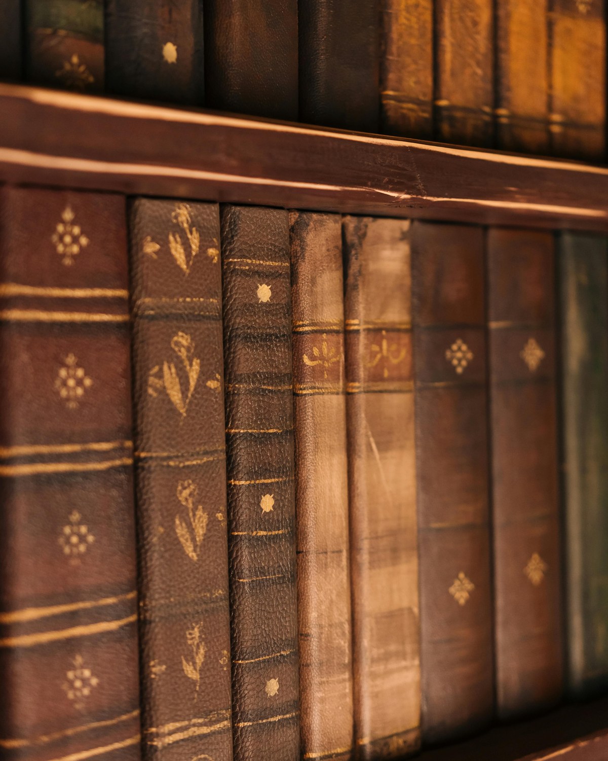 Rangée de volumes anciens reliés en cuir brun, dos rehaussés de motifs dorés, sur une étagère en bois, lumière tamisée.